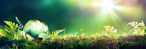 iStock-516920528.jpg